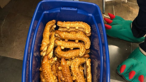 Promueven a Tampico en la ciudad de México