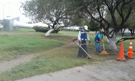 Guardianes ambientales de Reynosa en acción