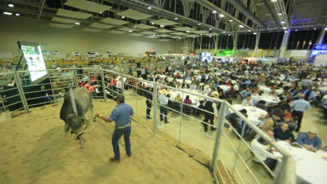 Inaugura Gobernador Congreso Mundial de Ganadería y Agricultura en Tampico