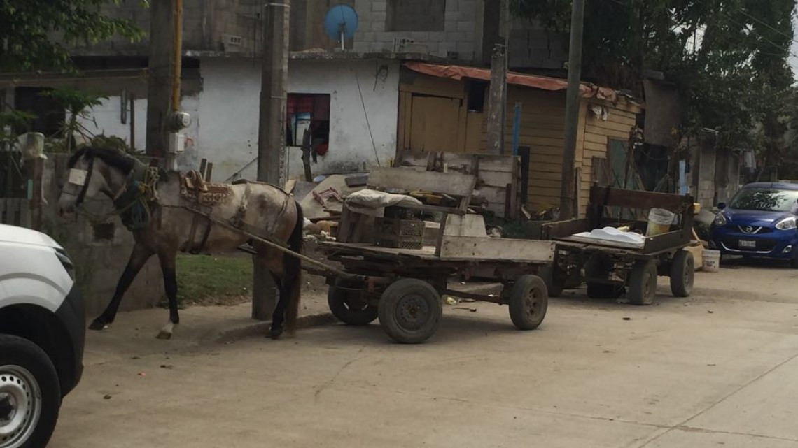 Serio problema de desechos urbanos cerca de sistemas lagunarios