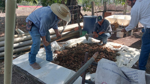 Promueven producción y uso de lixiviados en Xicoténcatl