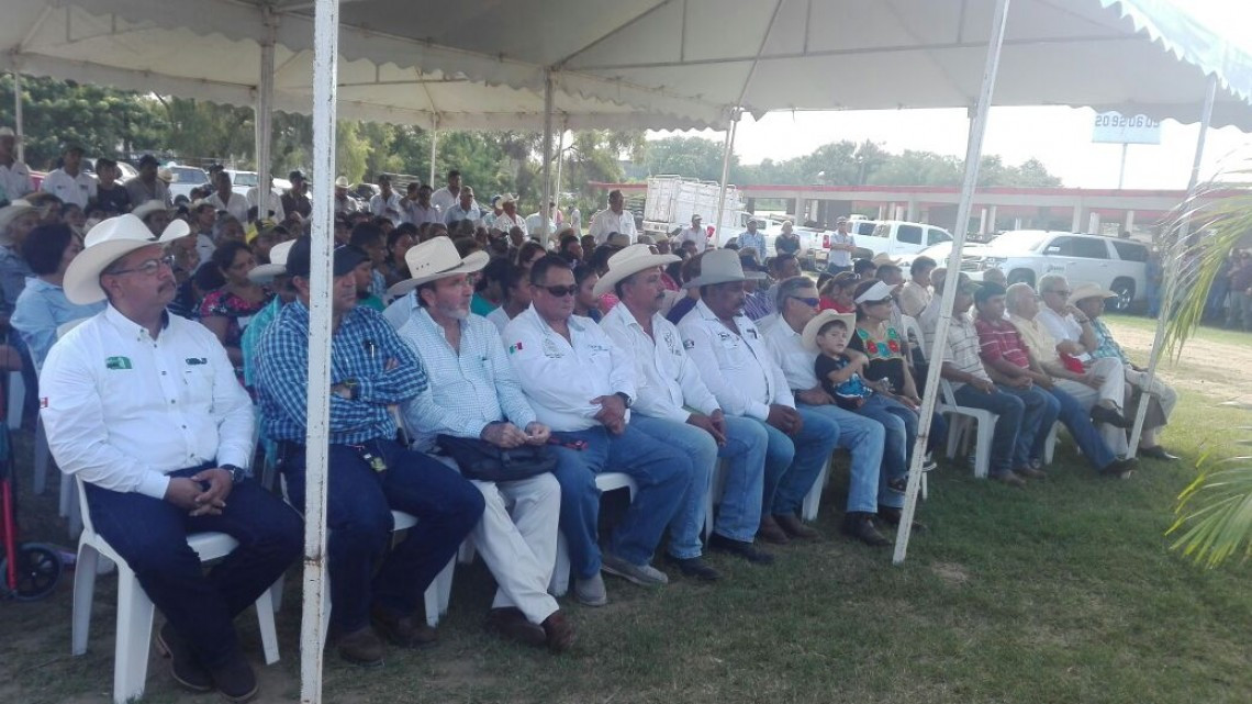 Autorizan más de 904 mil pesos para subsidiado a ganaderos