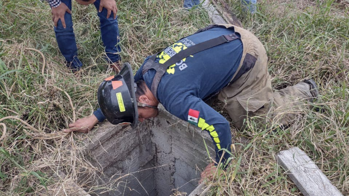 Rescatan a perritos atrapados en una fosa