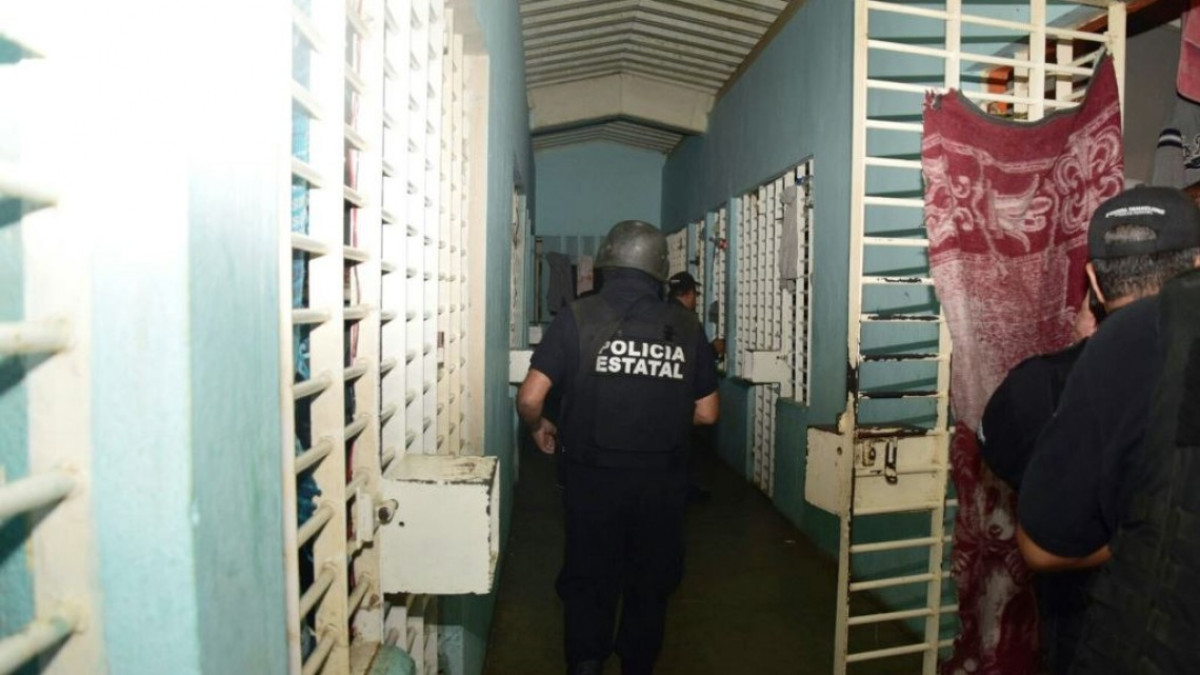 Armas drogas y gallos de pelea encuentran en Cedes de Nuevo Laredo