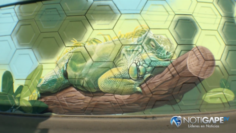 Jóvenes muralistas animan imagen urbana