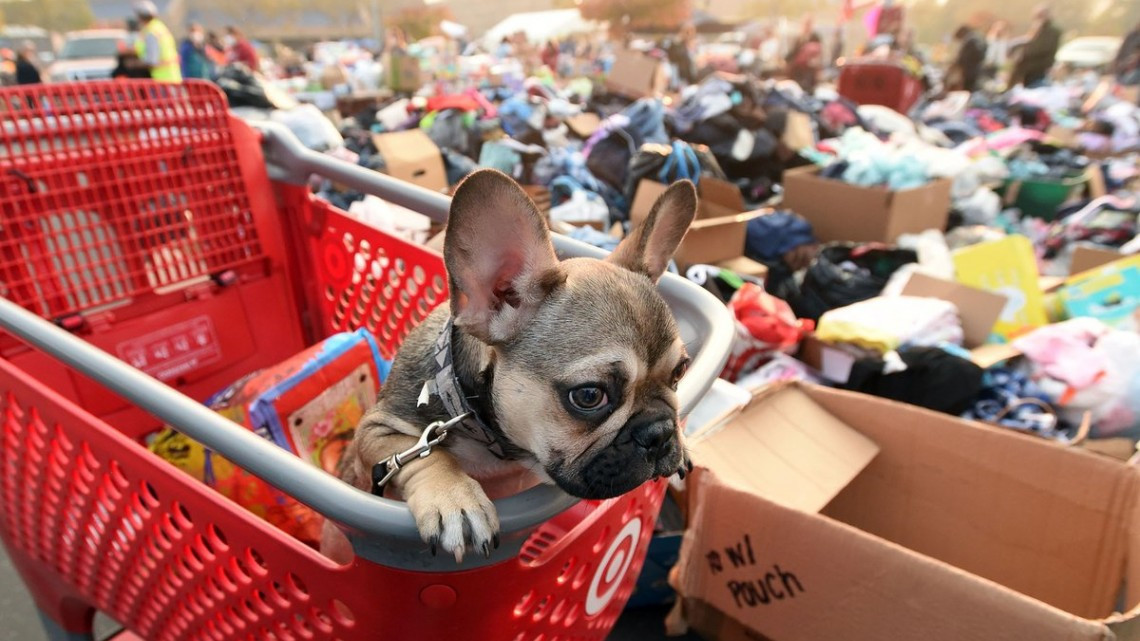 Las otras víctimas de los incendios en California