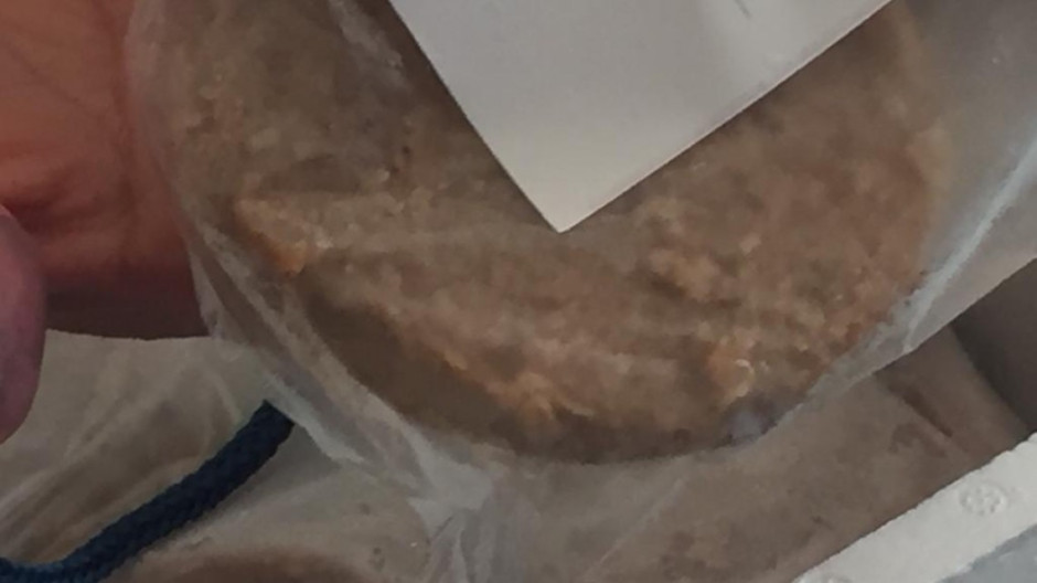 Avanza programa piloto de alimentación en Altamira