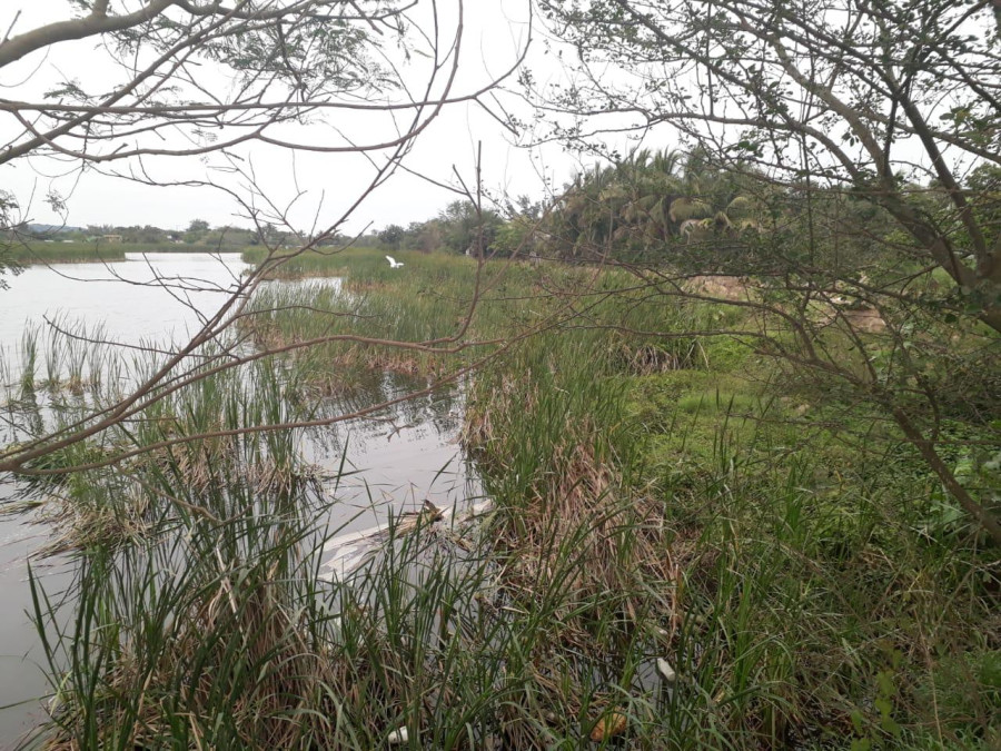 Continua relleno de lagunas en Altamira