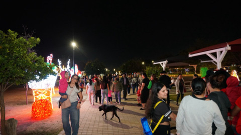 La magia te espera en el Viveros Mágico