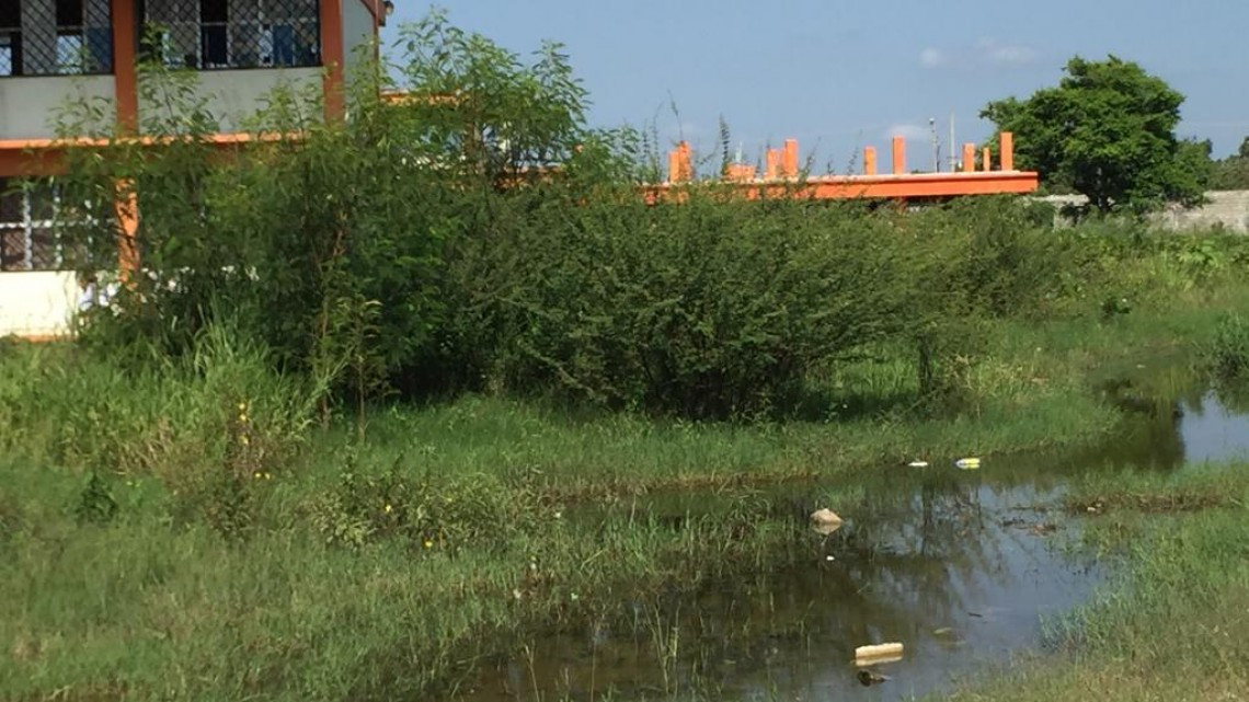 Piden limpieza de un acceso a una escuela secundaria