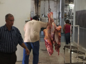 Rastro municipal de Tampico en crisis