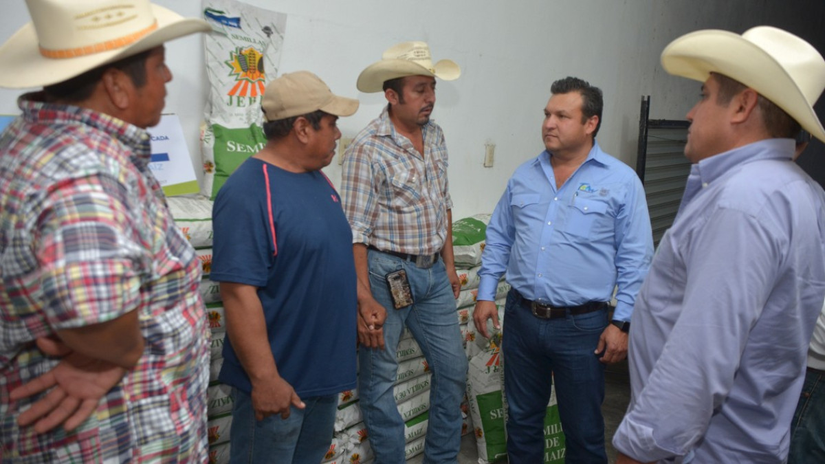 Entregan 8 toneladas de Semilla Certificada de Maíz Tam 2017 