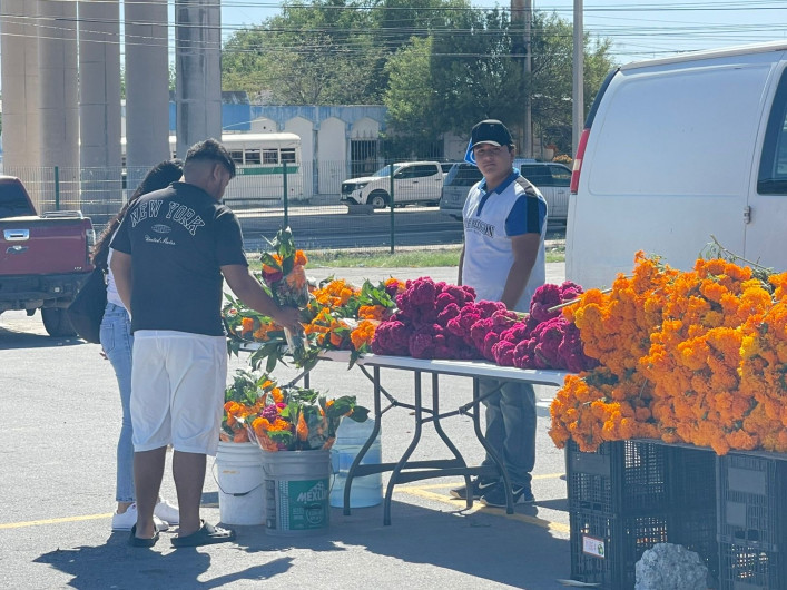 Sin aumento en el precio de cempasúchil y mano de león esta temporada