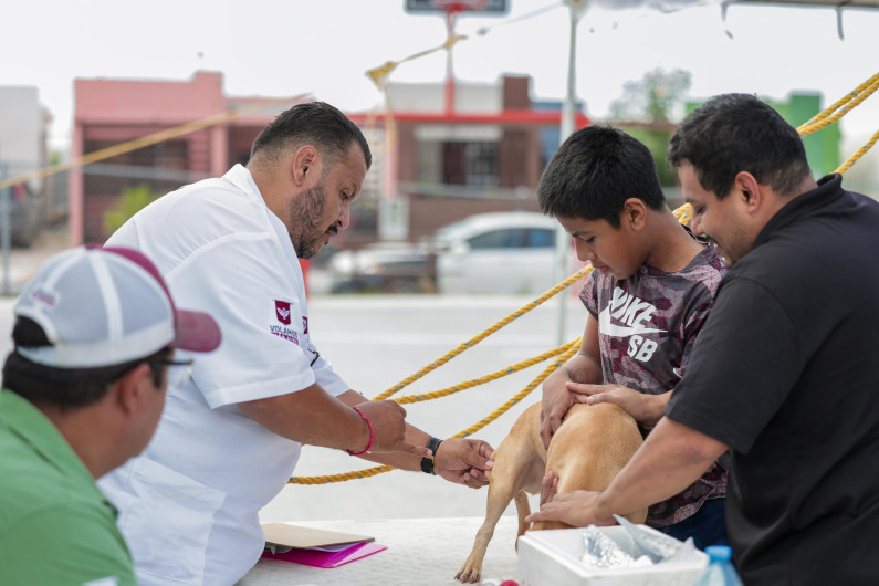 Reafirma Gobierno de Reynosa compromiso de protección y atención animal