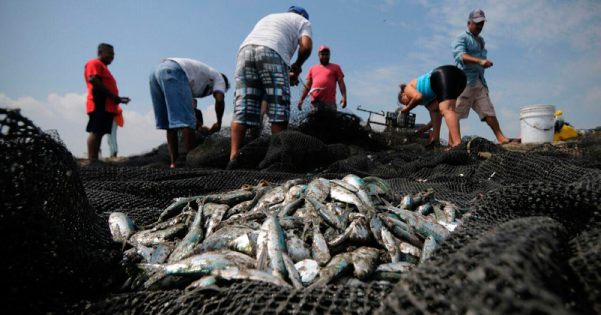 Solicita Secretaría de Pesca precio preferencial en diésel pesquero