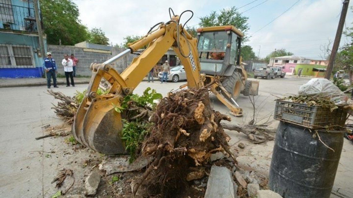 Reforzarán programa patio limpio ante sospecha de casos de dengue en Tampico 