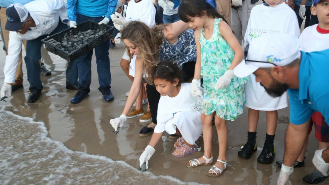 Liberan más de mil crías de tortuga lora en Tamaulipas