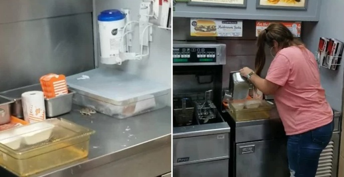 Ratón se pasea la cocina en un Restaurant de Texas