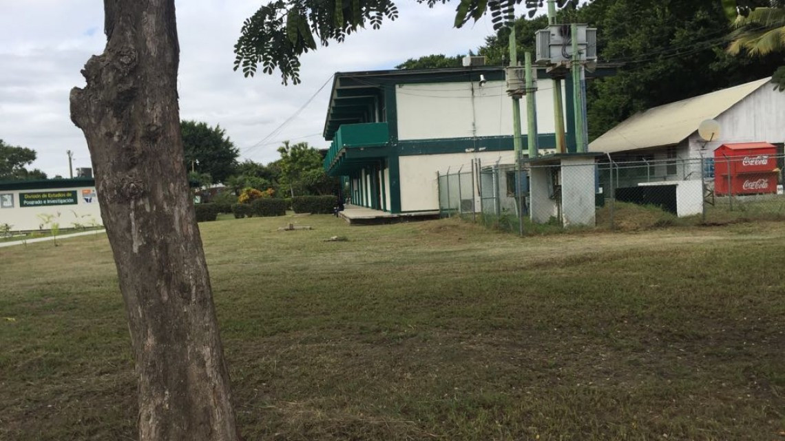 Recomiendan a alumnos tomar medidas contra el delito