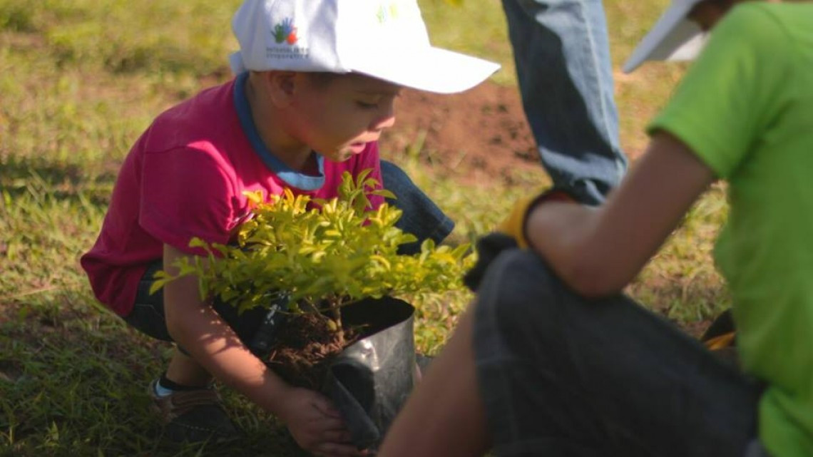 Realizan  trabajos de reforestación