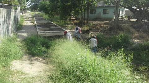 Realizan trabajos de limpieza en la colonia 15 de mayo en Madero