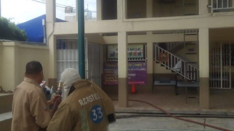 Abejas africanizadas causan terror en escuela primaria de Tampico