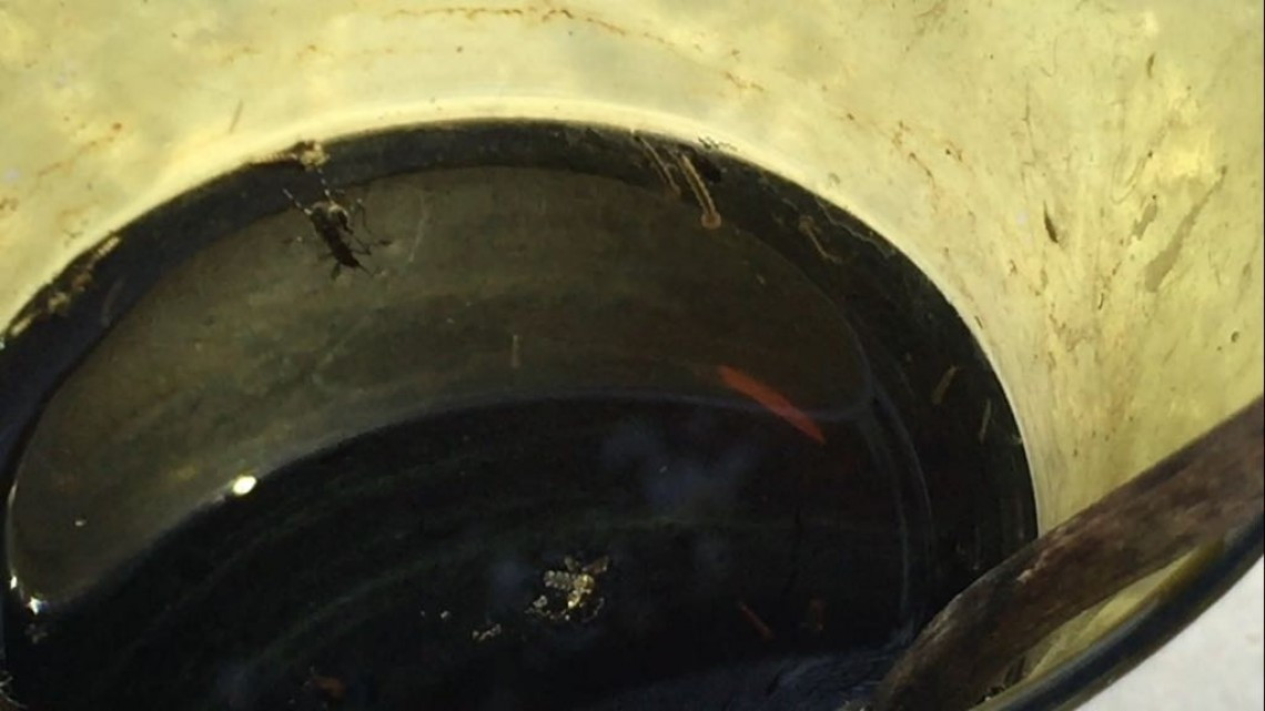 ⁠⁠⁠Ciudadanos se quejan por la maleza y basura en cementerios