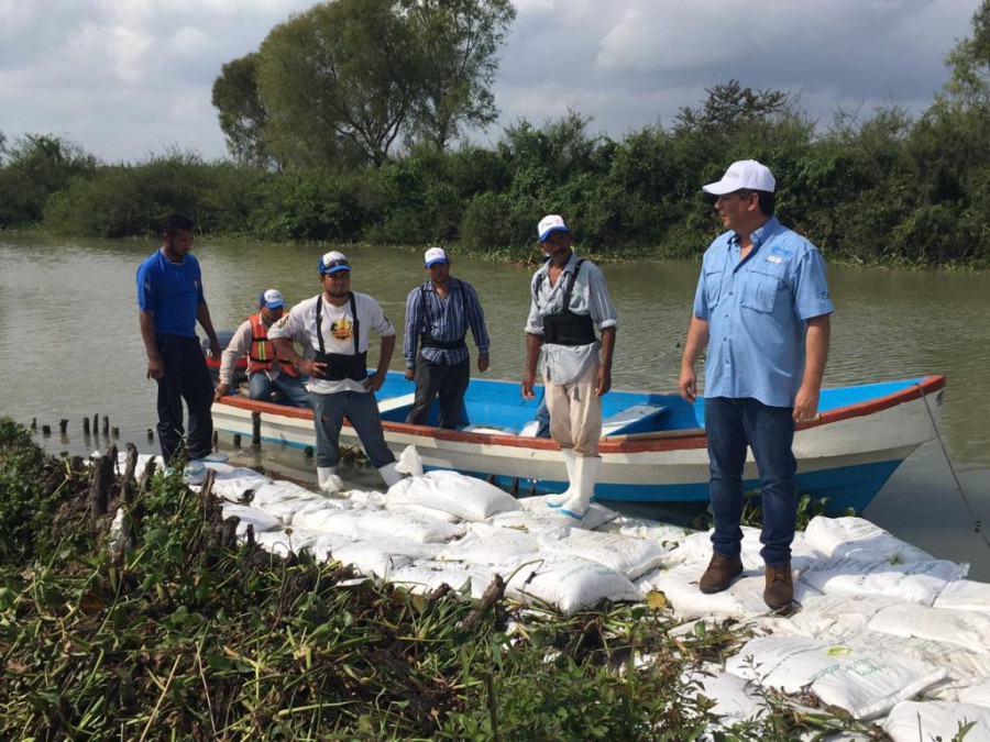 Repara COMAPA Altamira el estero del Camalote