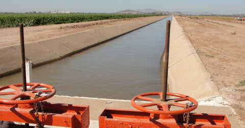 Productores demandarán a COMAPA por no cumplir acuerdo