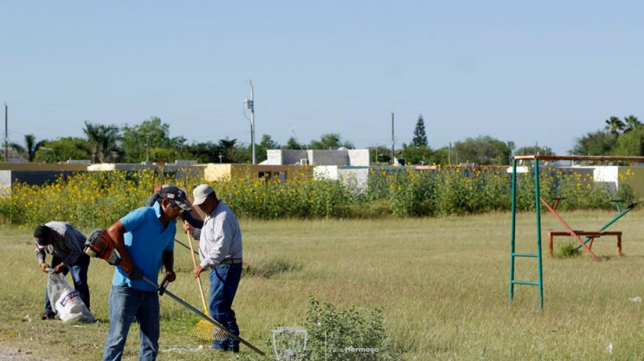 Trabajos en Colonia Olímpica se intensifican