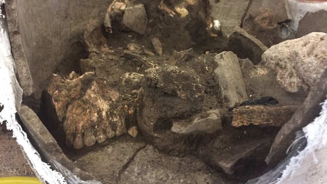 La historia del México antiguo sigue aflorando de la aldea Chak Pet en Altamira