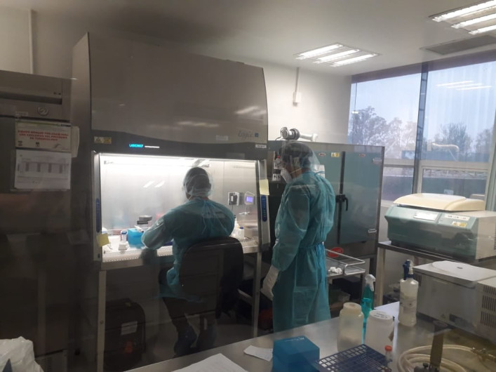 Pandemia de COVID-19 suma 132 casos en Tamaulipas, llama Salud a reforzar medidas preventivas