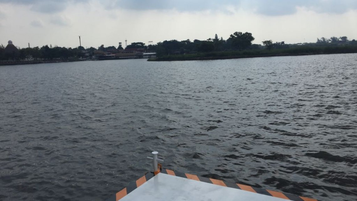 Siembran catán y tilapia en lagunas de Altamira