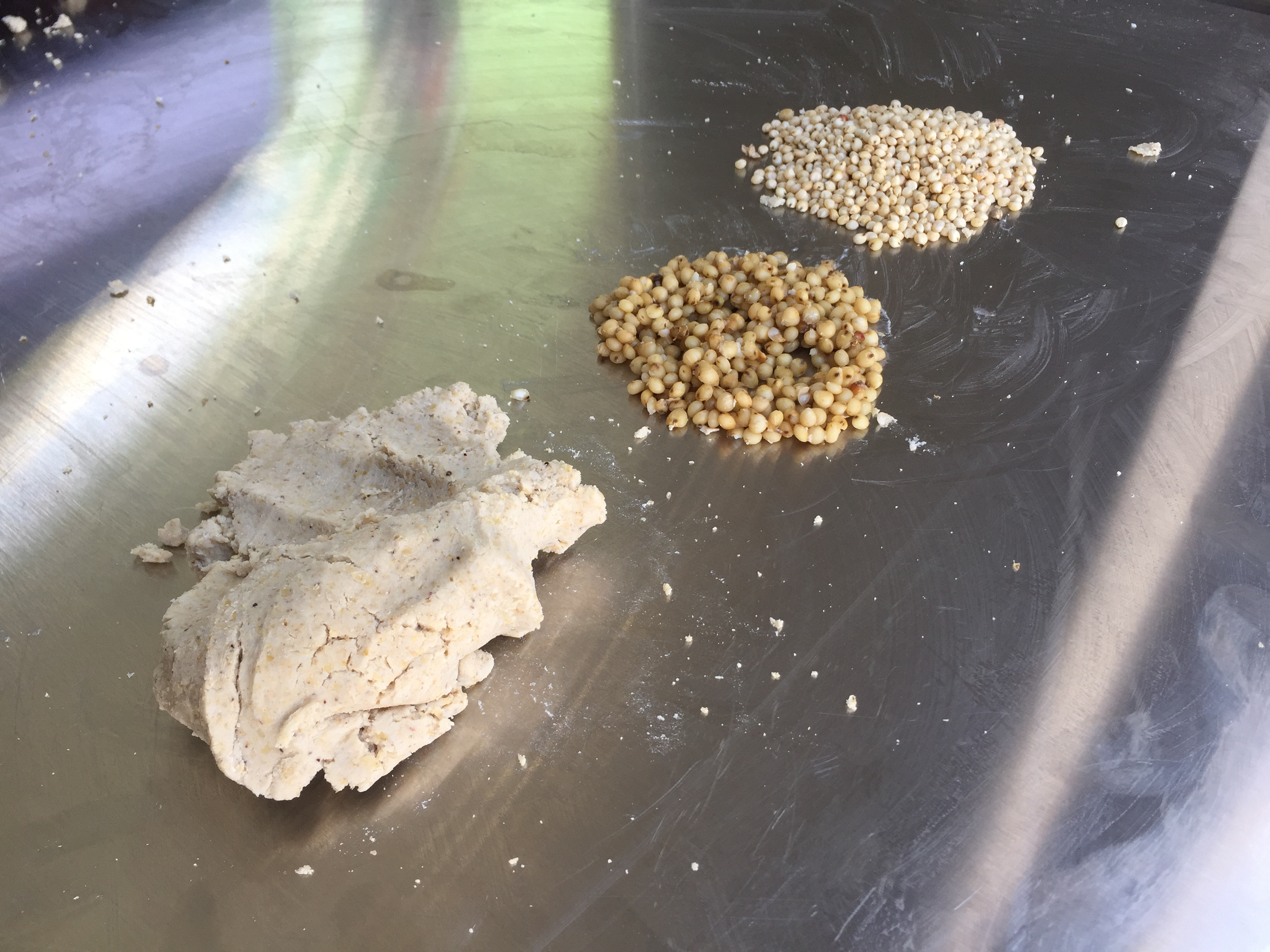 Promueven la elaboración de masa de tortilla a base de sorgo blanco