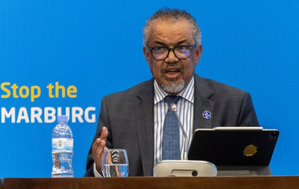 La OMS anuncia que la malaria en Egipto ha sido erradicada