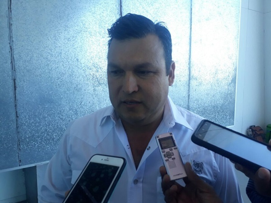 Ante perdidas de cultivos piden a productores reconvertir a pastizales