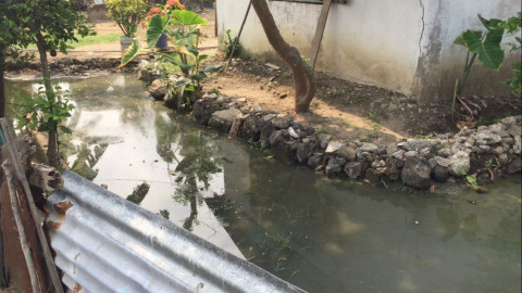 Brotes de aguas negras de más de ocho años en zonas bajas