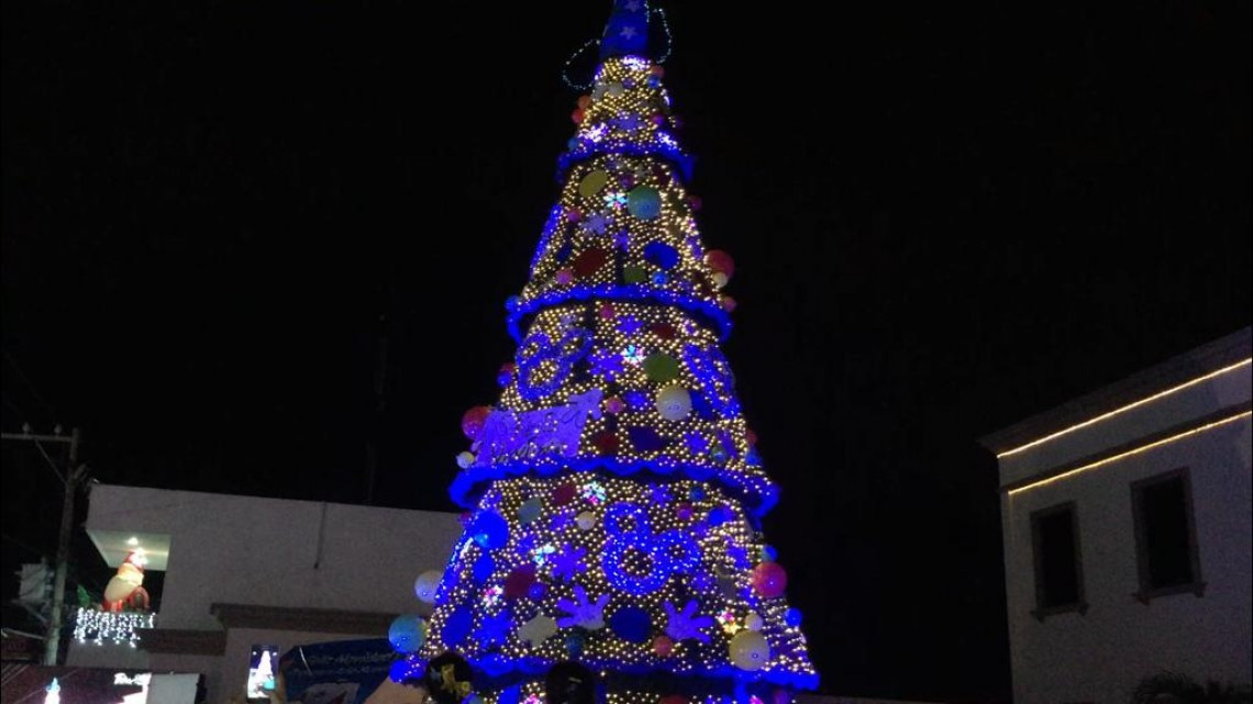 Altamira vive su Navidad con el encendido del pino monumental