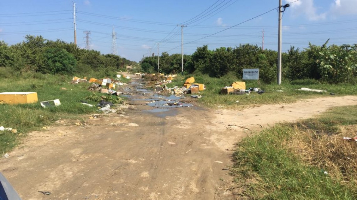 Piden endurecer acciones contra quienes generen basureros clandestinos