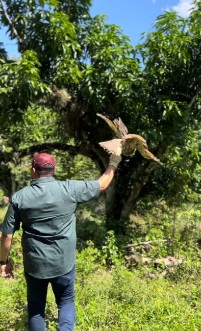 Zoológico de Tamatán apoya a rehabilitar animales silvestres 