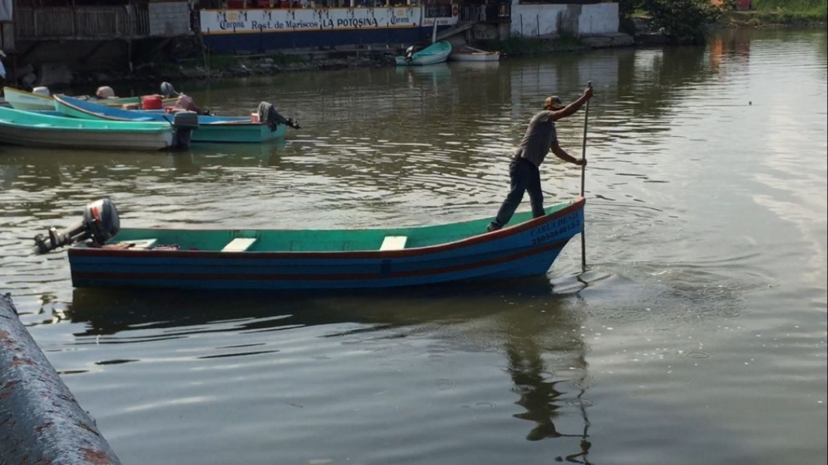 Bajos niveles de Laguna, afecta el sector pesquero