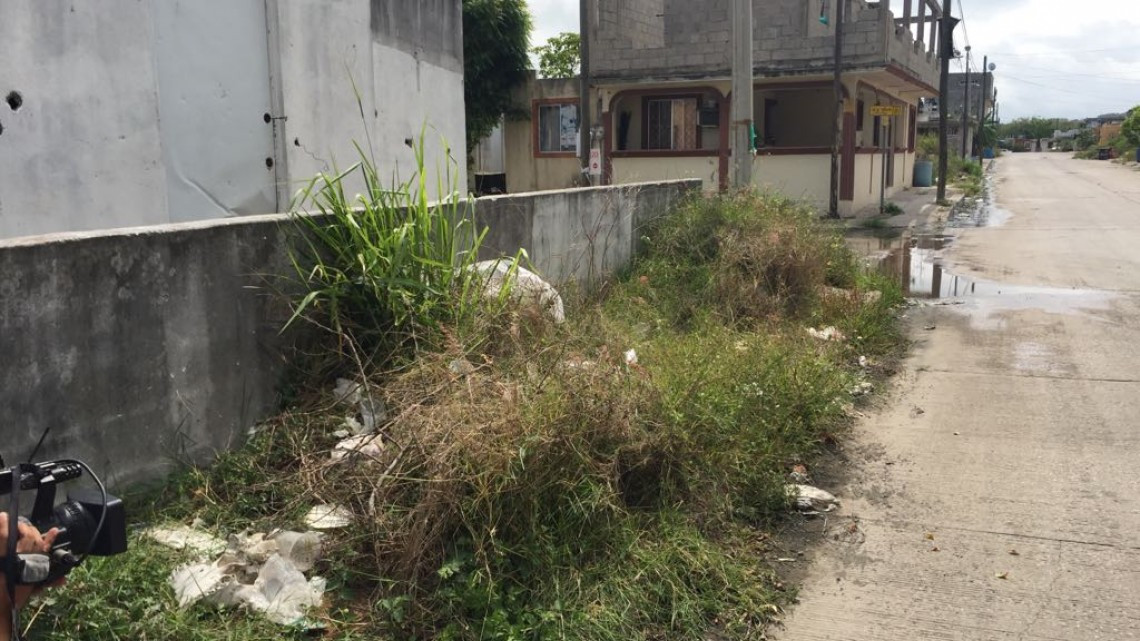 Por crecimiento en desorden, problemática de viviendas abandonadas: Asociación de Arquitectos