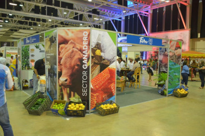 Tampico se alista para V Congreso Mundial de Ganadería Tropical 