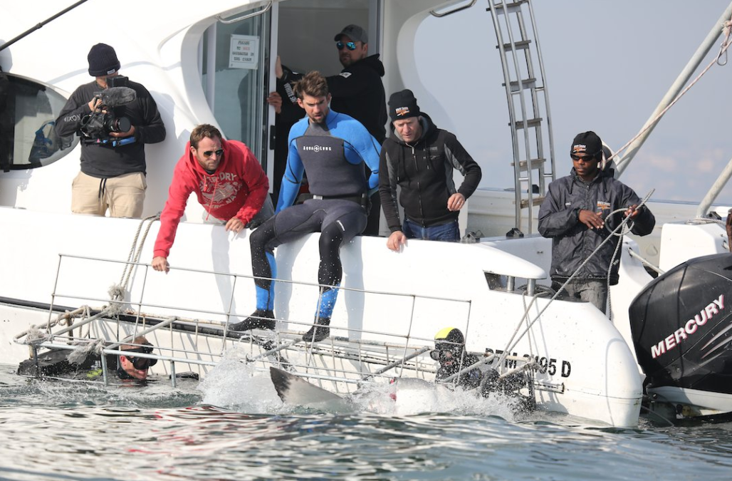 Michael Phelps se mide contra un tiburón