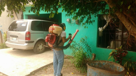 Reforzarán programa patio limpio ante sospecha de casos de dengue en Tampico 
