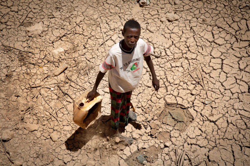  En Somalia por falta de agua y alimento reportan 26 muertes