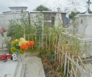 Maleza se apodera de panteón municipal