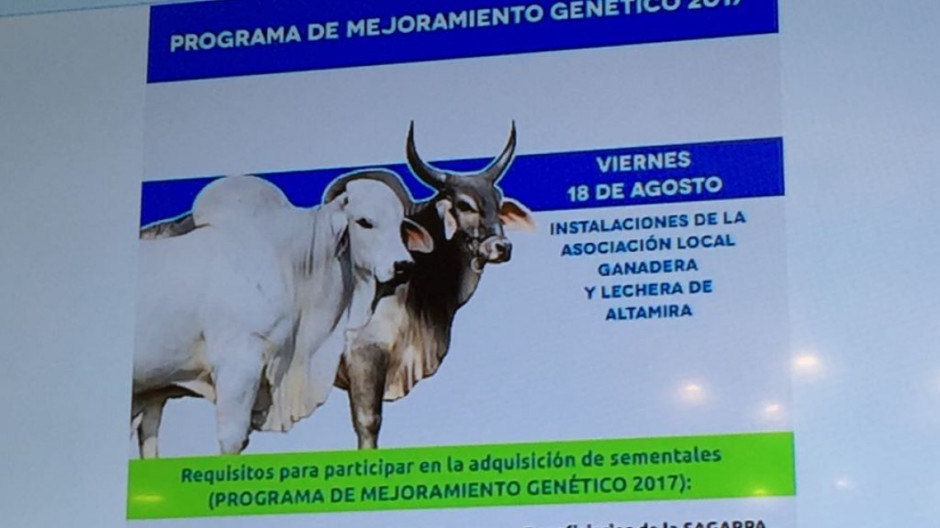 Ganaderos se verán beneficiados con programa de mejoramiento genético 2017