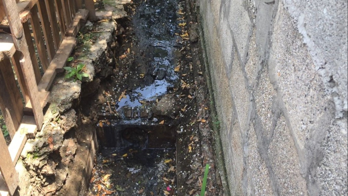 Establecimientos de comida y pescaderías deberán contar con trampas para el drenaje