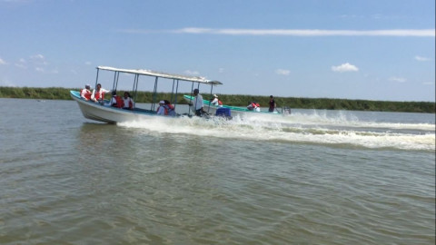 En proyecto la siembra de tilapia en el sistema lagunario